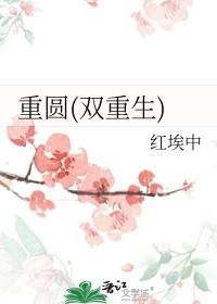 重圆(双重生)晋江