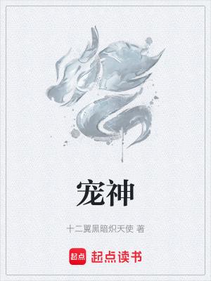 宠神来了十二翼黑暗炽天使