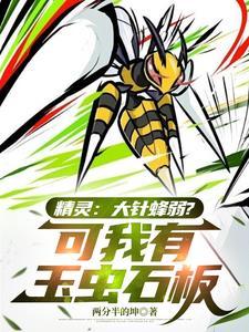 大针蜂的mega进化