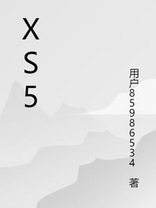 华为xs5