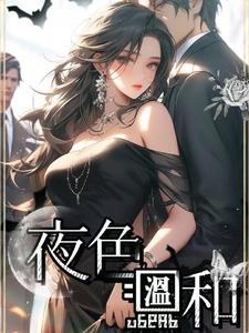 夜色温柔 简介