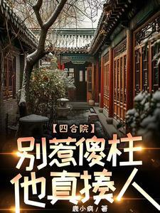 四合院傻柱的妖孽人生