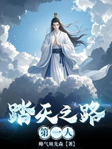 踏天是什么境界