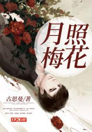 月照花林皆似的意思是什么?