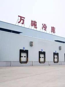 四合院 开局迎娶于莉