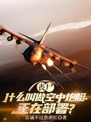 空中炮艇的电影