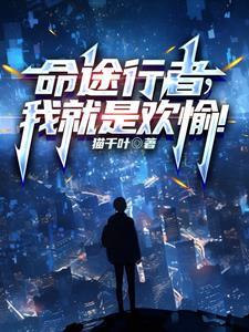 我就是欢愉 shuhaige