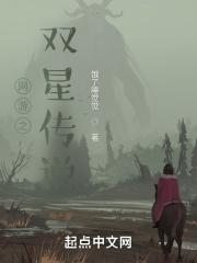 网游之星剑传奇txt