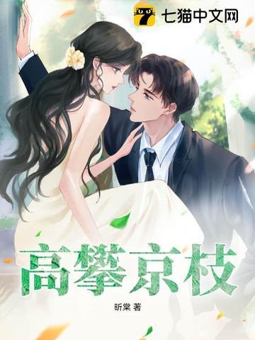 攀高枝儿的意思