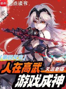 玩家请自重这个位面真的会破碎阅读