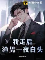 我走后渣男一夜白头免费阅读