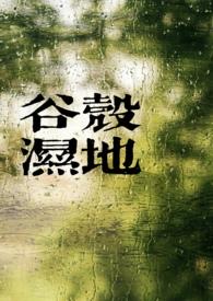 谷壳宝最新价格