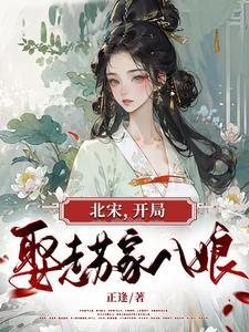 北宋 开局抢皇位