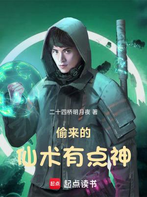偷来的仙术有点神 TXT