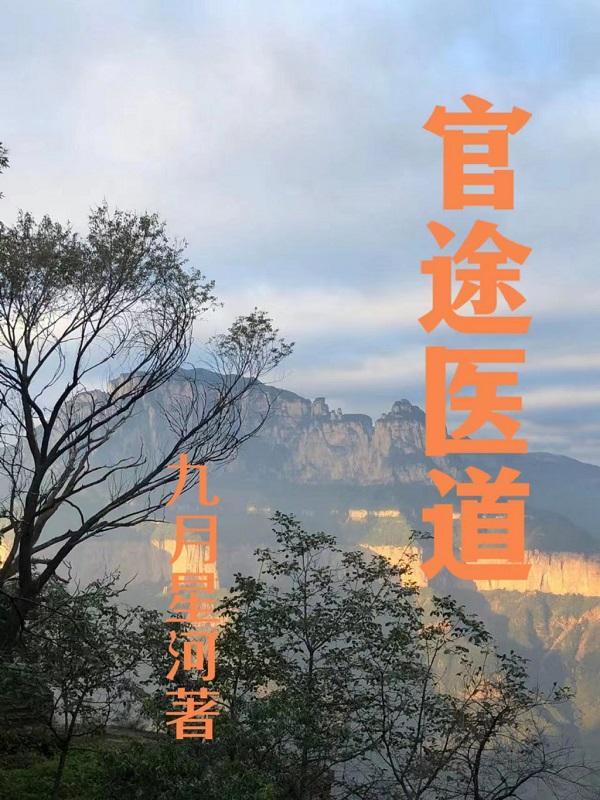 医道官途结尾