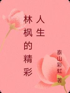林枫主人翁