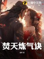 焚天炼气诀书旗网