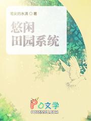 悠闲休闲系统