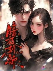暗夜gt