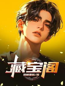 藏宝阁oppo
