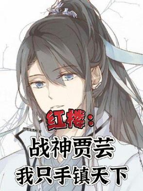 红楼之贾家大婿
