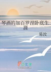 琴酒综文