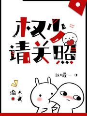 权少请多关照免费阅读沈婠