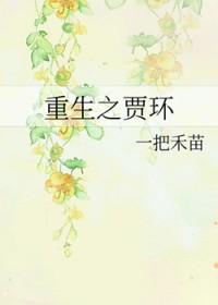 重生为贾环的经典