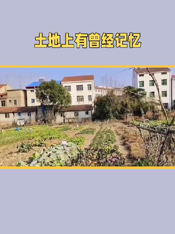 人间灶美食全文免费阅读