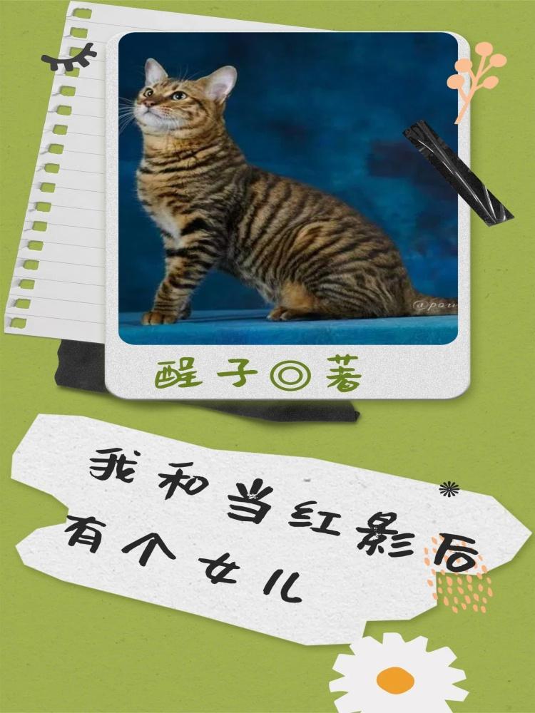 娱乐圈不是你想象的那么简单