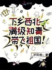方寸仙途