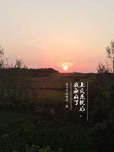 特级厨师免费阅读