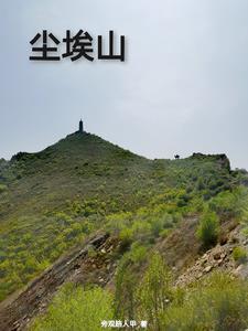 重生娶了清纯初恋后
