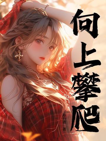 从县委书记到权力巅峰一共多少章