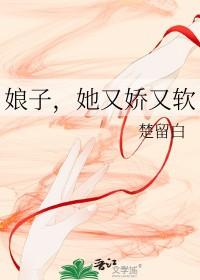 重生八零军嫂军少首长