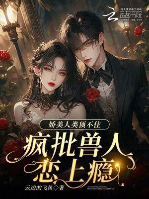将门嫡女傻王的绝世王妃
