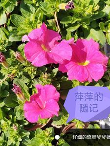 作精攻略[快穿