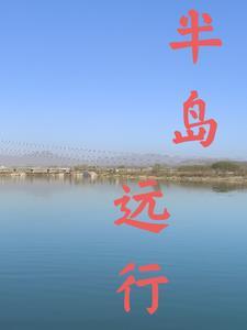 大理寺卿是个什么职务