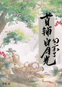 宝可梦开局绑定秒杀系统免费阅读